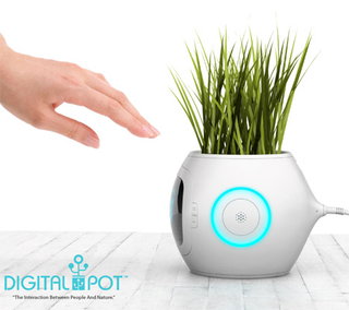 Illustration for article titled Digital Pot Lets Plants Tell You Their Demands